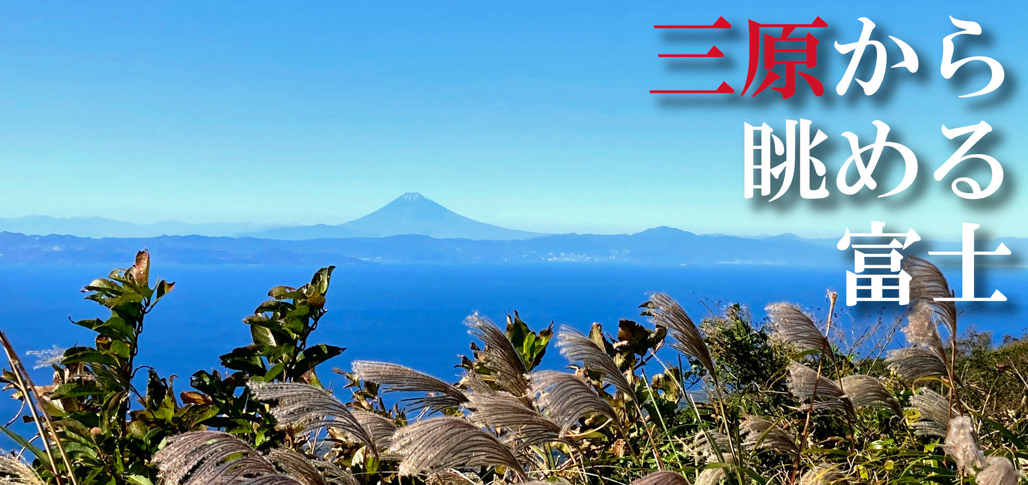 三原から眺める富士